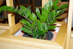 146-eurossig-jubilee-tour-rathen_27933271743_o