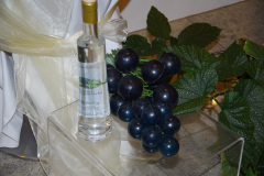 147-eurossig-jubilee-tour-rathen_28264793050_o