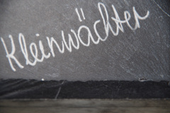 149-eurossig-jubilee-tour-rathen_27931775574_o