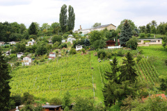 EuroSSIG_2011-123-img_8365_6034669023_o