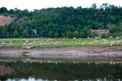 EuroSSIG_2013-127-0367_9501686924_o