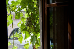 EuroSSIG_2013-185-0479_9501681178_o