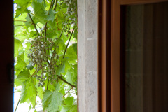 EuroSSIG_2013-186-0480_9498881011_o