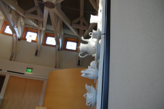 EuroSSIG_2017-225-imgp3105_35919896511_o