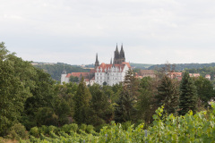 EuroSSIG_2020-234-8739