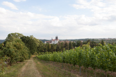 EuroSSIG_2020-235-8740