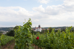 EuroSSIG_2020-236-8750