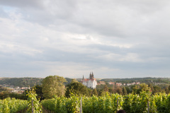 EuroSSIG_2020-240-8769