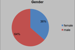 euro-ssig10_application_statistic_gender