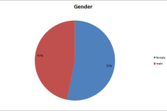 euro-ssig10_participation_statistic_gender
